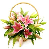 Flowers to Mumbai : Anniversary Gifts to Mumbai