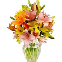 Flowers to Mumbai : Send Flowers to Mumbai