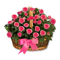 Deliver Birthday Flower to Mumbai to Send Pink Roses Basket 24 Flowers
