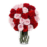 New Year Flowers in Mumbai comprising Red Pink Roses in Vase 24 Flowers to Mumbai