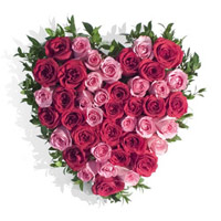 Deliver Online Pink Red Roses Heart 50 Flowers for your Brother or Sister on Rakhi