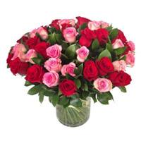 Send Send Flowers for Friendship Day to Mumbai, Red Pink Roses in Vase 50 Flowers to Mumbai Online