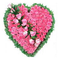 Flowers in Mumbai Same Day Delivery : Pink Roses Heart