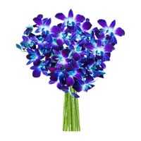 Online Delivery of Blue Orchid Bunch 12 Flower Stems in Mumbai for Friendship Day