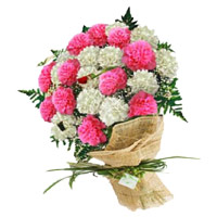 Send Flowers for Friendship Pink White Carnation Bouquet 24 Flowers to Mumbai