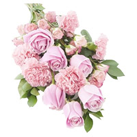 Best Flowers in Pune incorporate with Pink Rose Carnation Bouquet 12 Flowers in Mumbai