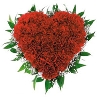 Send 100 Red Carnation Flower to Mumbai in Heart Arrangement. Deliver Diwali Flowers in Mumbai