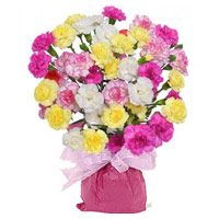 Send Mix Carnation Bouquet 36 Flowers in Mumbai on Friendship Day