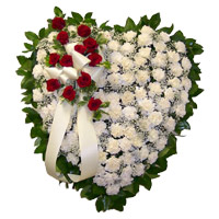 Send 100 White Carnation Heart 12 Red Rose Flowers to Mumbai for Friendship Day