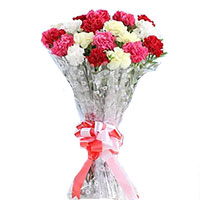 Send Flowers for Friendship Day Mix Carnation Bouquet 24 Flowers to Mumbai