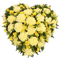 Send Online Delivery of Yellow Carnation Heart 24 Flowers in Mumbai on Rakhi