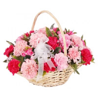 Send Flowers for Friends to Mumbai. Red Pink Carnation Basket 24 Flowers to Mumbai