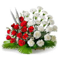 Flowers for Friendship in Mumbai. Red and White Carnation Basket 24 Flowers to Mumbai