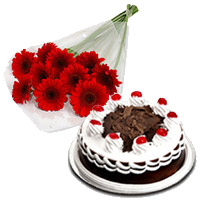 Send 12 Red Gerbera 1/2 Kg Black Forest Cake to Mumbai on Friendship Day