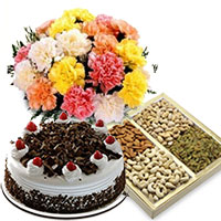 Deliver Best Gift for Friendship Day, 12 Mix Carnation, 1/2 Kg Black Forest Cake and 1/2 Kg Dry Fruits in Mumbai