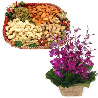 Buy Diwali Gifts to Pune consist of 10 Purple Orchids Basket with 1/2 Kg Assorted Dry Fruits in Mumbai