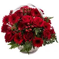 Online Flower Delivery in Mumbai : Red Gerbera Basket
