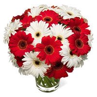 Send Online Best Flowers to Mumbai