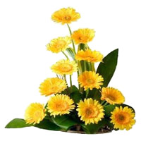 Send Online Flowers for Friends to Mumbai Yellow Gerbera Basket 12 Flowers to Mumbai