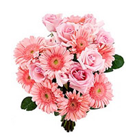 Send New Year Flowers to Mumbai consist of Pink Gerbera Roses Bouquet 18 Flowers in Mumbai