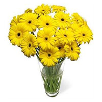 Deliver Yellow Gerbera in Vase 15 Flowers in Mumbai Online on Rakhi