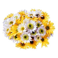 Flowers Delivery in Mumbai for Friendship Day. White Yellow Gerbera Bouquet 36 Flowers