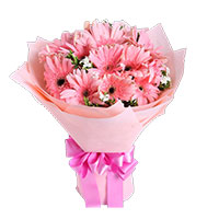 Diwali Flowers in Andheri containing Pink Gerbera Bouquet 12 Flowers in Mumbai