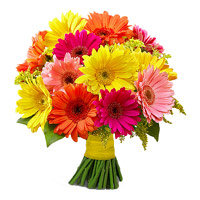 Send Diwali Flowers Online including 24 Mixed Gerbera Mumbai Flowers Bouquet