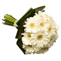 Order Online Friendship Day Flowers White Gerbera Bouquet 36 Flowers to Mumbai