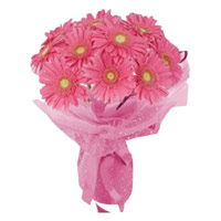 Send Flowers for Friendship Pink Gerbera Bouquet 24 Flowers to Mumbai