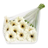 Send White Gerbera Bouquet 12 Flowers to Mumbai on Diwali