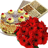 Send Gifts for Friendship Day, 500 gm Butter Scotch Cake 12 Mix Gerbera Bouquet Flower to Mumbai