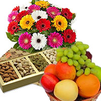 Deliver Online New Year Gifts to Mumbai including 12 Mix Gerbera with 500 gm Mix Dry Fruits and 1 Kg Fresh Fruits Basket.