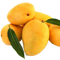 Friendship Day Gifts Online of 12 Pcs Mangoes Basket for Loved ones to Mumbai