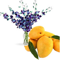 Send Friendship Day special Gifts Blue Orchid Vase 6 Flowers Stem with 12 pcs Fresh Mango on Friendship Day