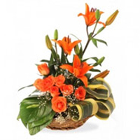 Order Online 3 Orange Lily 6 Orange Roses Basket 12 Rakhi Flowers to Mumbai