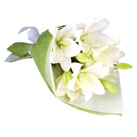 Awesome New Year Flowers in Vashi Mumbai and White Lily Bouquet 3 Stems