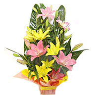 Diwali Flowers Online Delivery to Mumbai. Pink Yellow Lily Basket 6 Flower Stems