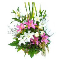 Friendship Day Flower Delivery in Mumbai. 6 Pink White Lily 6 White Roses Basket