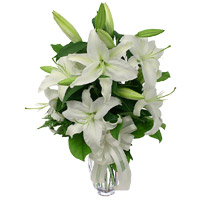Get Rakhi and Flowers. White Lily Vase of 5 Stems Flower to Mumbai