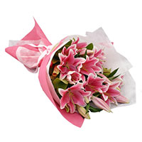 Valentine's Day Flower in Mumbai :  Pink Lily to Mumbai