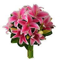 Valentine's Day Flowers to Mumbai :  Pink Lily to Mumbai