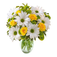 Online Valentine Flower Delivery in Mumbai - Anthurium Basket