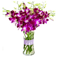 Friendship Day to Mumbai, Order Purple Orchid Vase 20 Flowers to Mumbai 