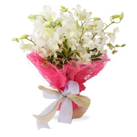 Friendship Day Online Flowers Delivery. White Orchid Bunch 9 Flowers Stem