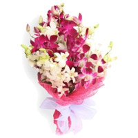 Order Online Flowers for Friends Purple White Orchid Bunch 20 Flowers in Mumbai