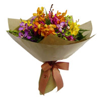 Flower Delivery in Mumbai - Orchids
