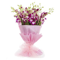 Orchids Flower Delivery in Mumbai