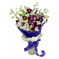New Year Flowers Delivery in Mumbai delivers Purple White Orchid Bunch 10 Flowers Stem