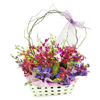 Purchase Online New Year Flowers to Mumbai contains Mixed Orchid Basket 12 Flowers Stem in Mumbai